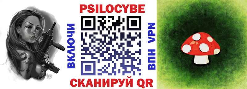 Псилоцибиновые грибы Psilocybe  Барабинск 